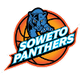 索韦托黑豹logo
