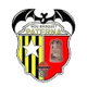 帕特纳女篮logo
