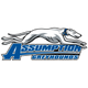 阿苏姆托拉斯大学女篮logo