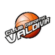瓦尔迪维亚logo