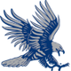 RS蓝鹰logo