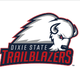 迪克斯州立大学女篮logo