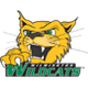 威尔明顿大学女篮logo