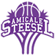 阿米卡莱斯泰塞尔女篮logo