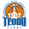 蒂瓦特logo