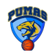 CD普马斯logo