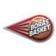 波拉斯logo