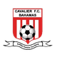 卡瓦立尔logo