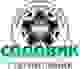 沙度维克logo
