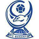 班南特斯C队logo