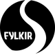 费基尔logo