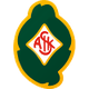 斯柯维德女足logo