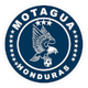 摩塔瓜后备logo