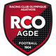 RCO爱德logo