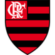 弗拉门戈沙滩足球队logo