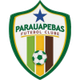 帕劳阿佩巴斯青年队logo
