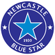 蓝星logo