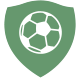 纳德姆室内足球队logo
