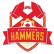 伯明翰哈姆莫斯 logo