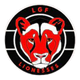 乌埃狮子女足logo