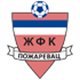 波扎雷瓦茨女足logo