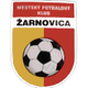 扎尔诺维察 logo