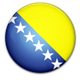 波斯尼亚VIlogo