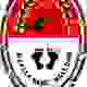 内马洛莫logo