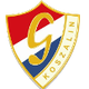 格瓦达科沙林 logo