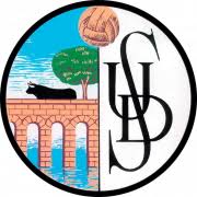 萨拉曼卡B队logo