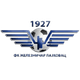 萨勒兹尼卡logo