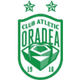 CA奥拉迪logo