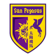 太阳飞马后备队logo