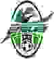 密西沙加老鹰logo