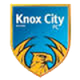 诺克斯市后备队logo
