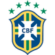 巴西室内足球队logo