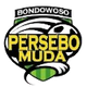 伯瑟波本托沃索logo