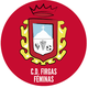 CD菲尔加斯女足logo