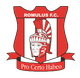 罗穆陆斯logo