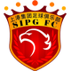 上海海港后备队logo