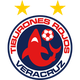 韦拉克鲁斯logo