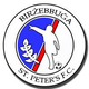 比尔泽布瓜 logo