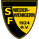 西尔维尼根logo