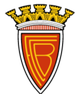 巴雷伦斯女足logo
