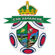 萨雅切logo