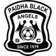 帕迪哈黑天使logo
