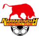 纳拉邦达logo