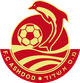 FC阿舒多U19logo