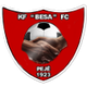 KF贝萨logo