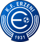埃泽尼石佳克logo